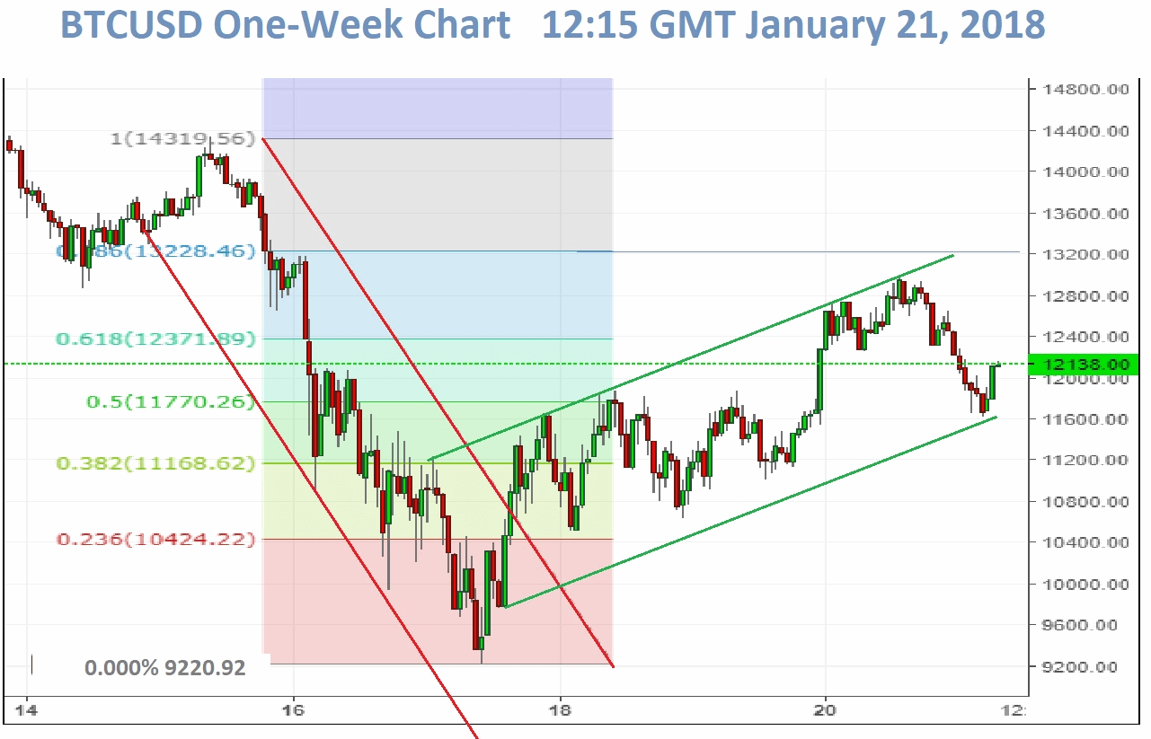 Is Bitcoin Crashing?